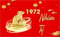 Nhâm Tý 1972 Đặt Bếp Hướng Nào?